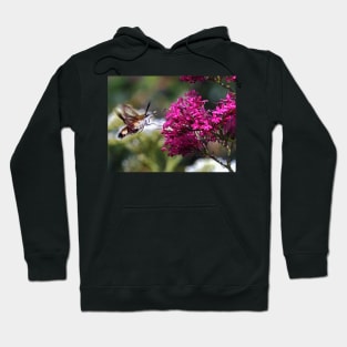 THE PANASONIC FZ 200 PAR OKAIO CREATION Hoodie